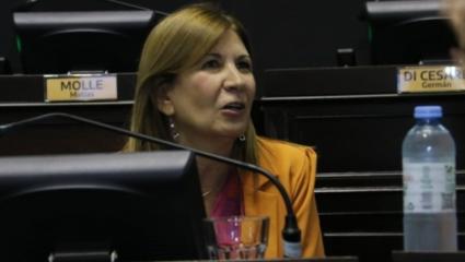 Guzzo y su polémico proyecto: en medio de la crisis, busca declarar el inodoro como “un lugar para la paz”
