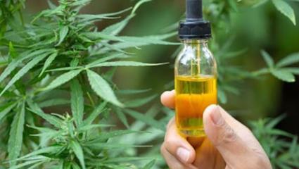 El Gobierno dará de baja el Reprocann para marihuana medicinal: 300 mil permisos serán revocados