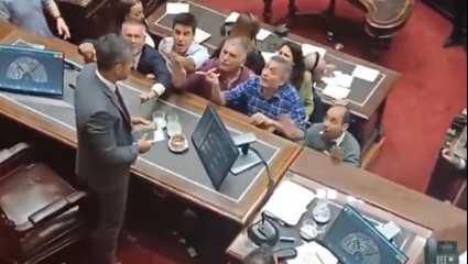 Diputados: Menem levantó una sesión para evitar que deroguen las facultades extraordinarias de Milei