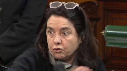 Polémica por los dichos de una senadora: “No creo que los niños argentinos tengan derecho a venir al Garrahan”