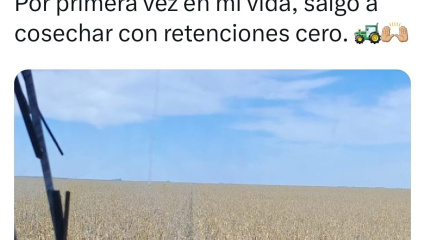 Una estafa de 1500 millones de dólares