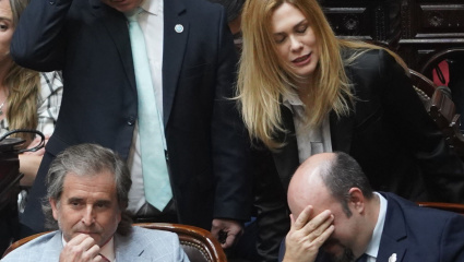 Diputados aprobó el proyecto que limita el uso de DNU, pero volvió al Senado por modificaciones