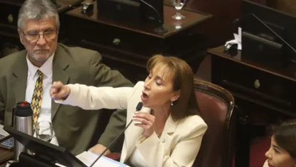 Escándalo en el Senado: una legisladora denunció "manoseos" del personal de seguridad en un forcejeo