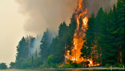 Milei declaró la emergencia ígnea tras casi dos meses de angustia y desastre ambiental en la Patagonia