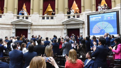 El Gobierno se anota otro gol en Diputados: la baja de edad de imputabilidad a 14 años tiene media sanción