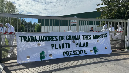 La apertura de importación de pollo brasilero golpea duro a Granja Tres Arroyos, que corre riesgo de quiebra