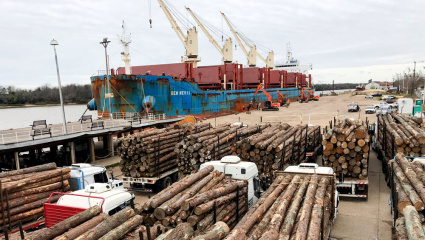 Los aranceles de EEUU a Brasil le abren una ventana a la Argentina y reavivan la tensión dentro del Mercosur