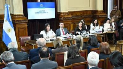 La reforma electoral se traba en el Senado: sin los diez votos de la UCR, Milei no puede eliminar las PASO