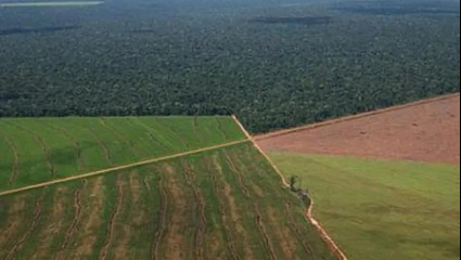 Sesión en el Senado: el Gobierno va por la reforma de la ley de Tierras y de Manejo del Fuego