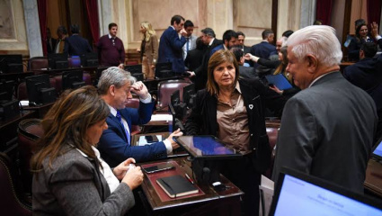 Sin los votos aliados, el oficialismo sufrió un duro revés en el Senado y se postergó la reforma de la Ley de Tierras