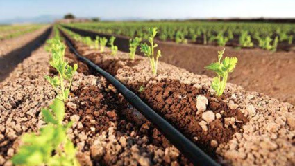 La otra Vaca Muerta: un megaproyecto de US$ 1.000 millones busca poner bajo riego más de 50.000 hectáreas