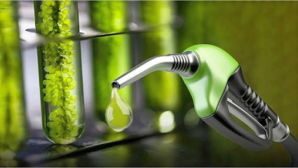 El Gobierno actualizó los precios de los biocombustibles de julio y el sector reclama previsibilidad para invertir