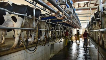 Las góndolas más lejos que nunca: el salario de los peones rurales pierde la batalla contra la inflación de los alimentos