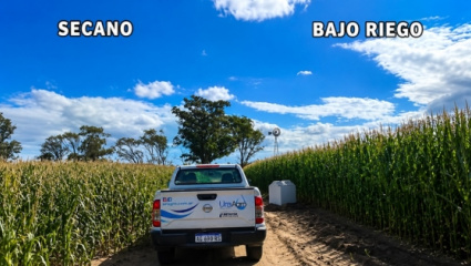 Pergamino se convierte en la capital tecnológica del cultivo de maíz con un congreso clave