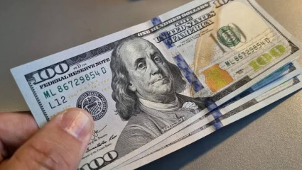 Furor por el dólar: la desconfianza cambiaria disparó el atesoramiento minorista