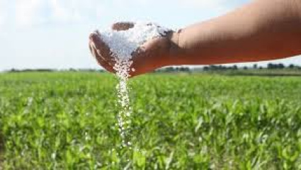 Vaca Muerta derrama sus riquezas al agro: Profertil alista una mega inversión histórica para terminar con la importación de fertilizantes