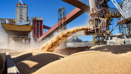 Abastecimiento en la Hidrovía: la soja de Paraguay ya es el cuarto origen de las importaciones y rescata de la parálisis al clúster del Gran Rosario