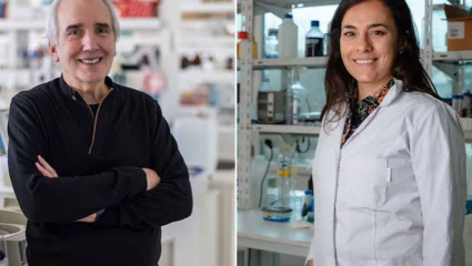 Desarrollo biotecnológico nacional: investigadores argentinos diseñan una proteína recombinante para reparar la córnea tras quemaduras químicas