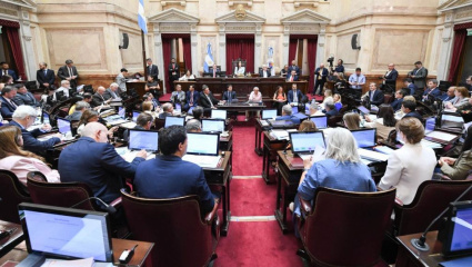 Luz verde a las reformas: el Senado dio media sanción a los cambios en Salud Mental y al régimen fiscal para pymes